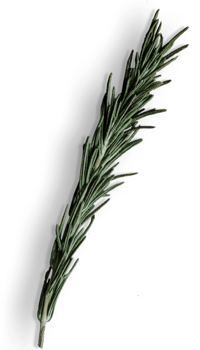 spice-shop-38